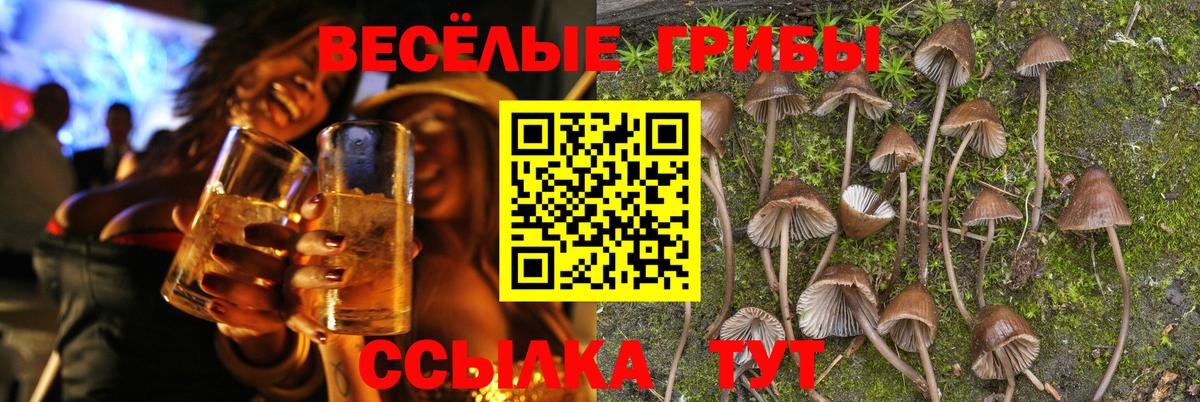 Псилоцибиновые грибы ЛСД Выкса