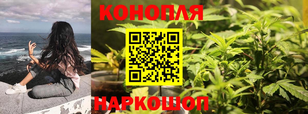 Шишки марихуана OG Kush  Конопля OG Kush  Бошки марихуана Amnesia  Каннабис индика  Выкса  Вход с VPN 
